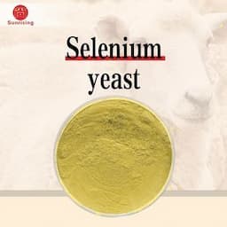 Hot Sell Feed Additive Selenium Enriched Yeast Powde Selenomethionine