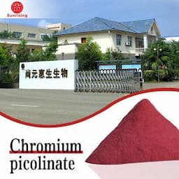 Professional Production of Chromium Picolinate Organic Chromium Producer Feed Additives