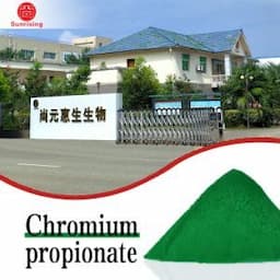 Professional Production and Sales of Chromium Propionate 6%Organic Chromium Feed Additive