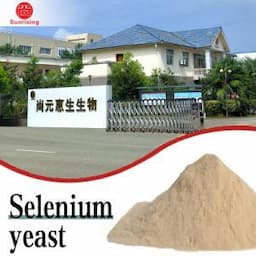 Professional Production of Selenium Enriched Yeast Organic Trace Element Selenium Feed Additive