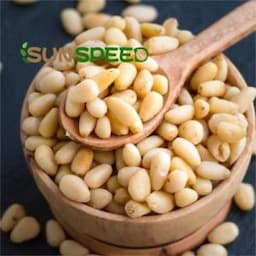 Best Prices Natural Bulk Healthy Snacks Pine Nuts