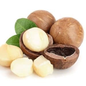 Bulk Order Premium Grade High Quality Macadamia Nuts