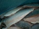 Hot Sale Frozen Fish Fillet Mackerel Fillet