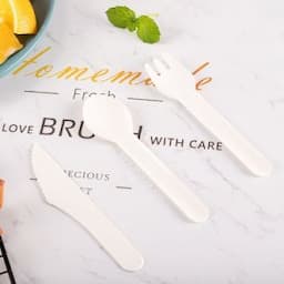 Biodegradable Bagasse Disposable Paper Cutlery Set