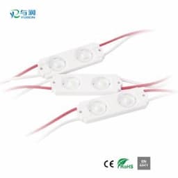 220V IP65 Waterproof Injection Modules with En62471 LED Modules