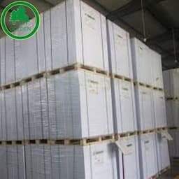 China Mill Manufacture 55g/60g/70g/80g Offset Woodfree Paper/ Bond Paper /Printing Paper