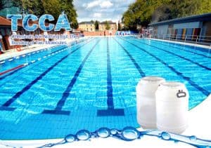 Swimming Pool Chemical Tricloro Triple Action Chlorine Tablets