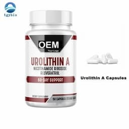 Private Label OEM Urolithin a Capsules for Energy Supplement