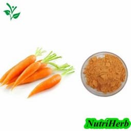 Natural Organic Dehydrated Carrot Powder Freeze Dried Fd Carrot Powder