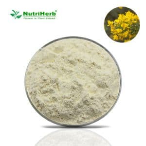 Wholesale Price Pure Organic Natural Sophora Fruit Extract 98% Genistein