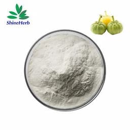 100% Natural 50% 60% Hca Garcinia Cambogia Extract Powder