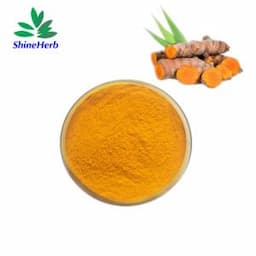 Healthcare Supplement Turmeric Root Extract 2% 5% 10% 20% 95% 98% Curcumin