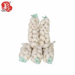 2020 New Crop Super Fresh Normal White and Pure White Garlic