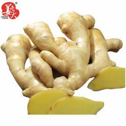 Supply Selected Super Quality Chinese Fresh