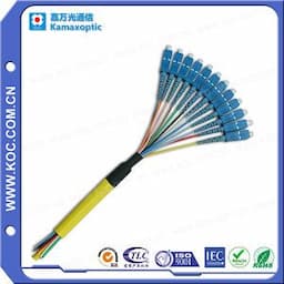 Fiber Optic Patch Cord/Patch Cable with Sc, LC, St, FC Connectors