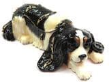 Dog Trinket Box