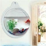 Wall Mount High Quality Clear Acrylic Fish Tank