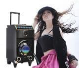 Movable Speaker with Professional DJ Equipment (T-101)