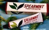 Spearmint Toothpaste