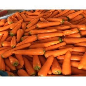 RED FRESH CARROTS, VIETNAM ORIGIN, HIGH QUALITY, BEST PRICE (used for main dishes in Asia, MIDDLE EAST, ETC.,)