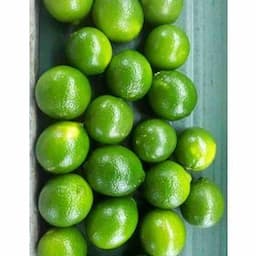 SEEDLESS FRESH LIME, VIETNAM ORIGIN, HIGH QUALITY, BEST PRICE, CURRENT CROP 2022-2023