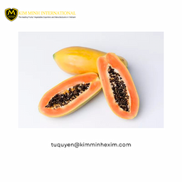 Premium Vietnamese Frozen Papaya IQF Process Bulk and Vacuum-Packaged for Wholesale and Export