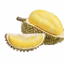 TOP SELLING 2024 HIGH QUALITY FRESH DURIAN FRUIT WITH COMPETITIVE PRICE FROM VIETNAM