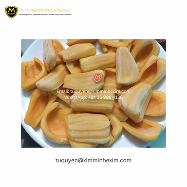 Export Quality Bulk IQF Frozen Jackfruit from Vietnam Seedless and with Seed Vacuum Pack