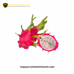 High Quality IQF Frozen Dragon Fruit Vietnam Bulk Supply Sweet Taste Sliced Chunk Dice Pulp Whole Block Puree Export Giobal