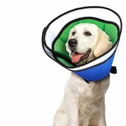 Soft Flexible Plastic Cone for Dogs After Surgery Adjustable E-Collar for Large/Medium/Small Dogs Cat