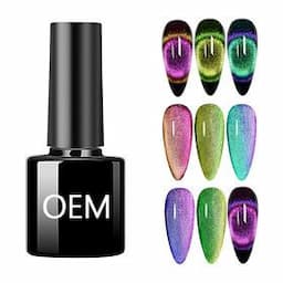 Nail factory new nail art manicure uv nail gel polish oem private label soak off magic magnetic 9D cat eye gel polish