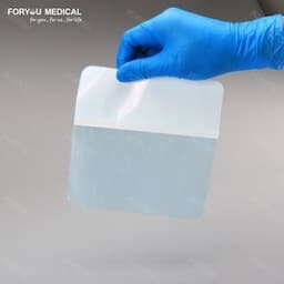 Huizhou Foryou Medical Hydrogel Burn Gel Dressing Medical Hydrogel Burn Dressing