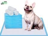 Free Sample 22"X 22" Leak Proof Product Dog Toilet Training Pads Absorbent Potty Pads Disposable Dog PEE PEE Pet Training Pad