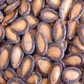 Fresh Style Black Watermelon Seeds Sale Price