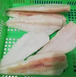 Alaska Pollock Fillet S.L