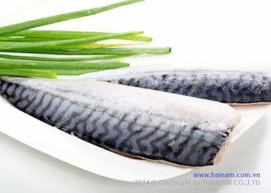 Frozen Mackerel Fillet