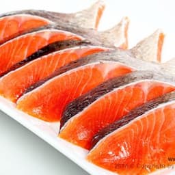 Salmon