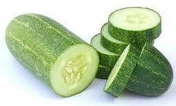 Cucumber