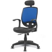 Ergonomic Office Chair with Headrest