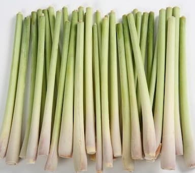 Fresh Lemongrass